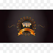 VIP会员