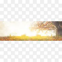 唯美秋季落叶背景