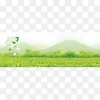 茉莉花茶清新背景banner