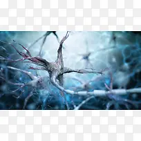 蓝色医疗神经元神经组织背景素材