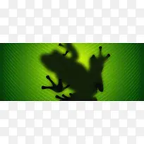 绿色青蛙背景