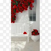 红色玫瑰白色椅子H5背景素材