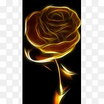 黑暗中的金玫瑰背景