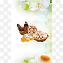 土鸡蛋促销特卖海报背景素材