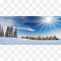 雪地上的树林光线
