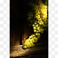 葡萄背景素材