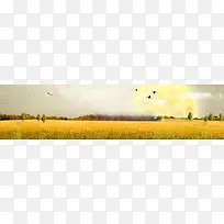 唯美风景banner创意设计