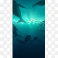 蓝色大海鲸鱼手机端H5背景