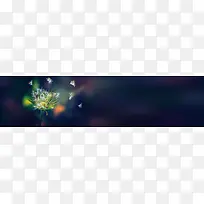 蒲公英banner创意设计