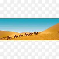 沙漠骆驼banne　