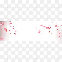 花瓣唯美背景banner