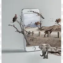 环境自然生态动物大象树木枯枝小鸟手机