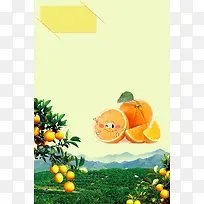 脐橙促销海报背景