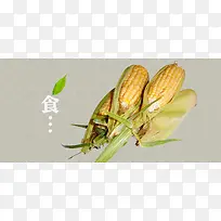 清新文艺粗粮老玉米美食美味食品淘宝背景