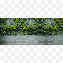 户外墙角花草摄影banner