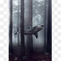 森林里的鲨鱼背景