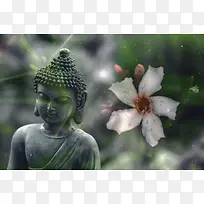 花朵石像佛祖背景