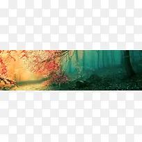 梦幻魔幻树林背景