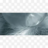 透明球体映射发丝背景图