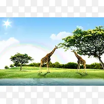 合成非洲草原旅游海报背景