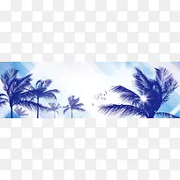 精美棕榈树banner背景
