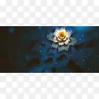 3D特效花背景