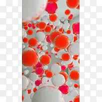 红白细胞H5素材背景