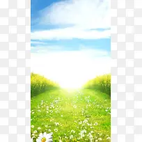 小清新草地H5背景