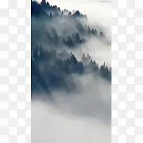 中国风森林风景手机端H5背景