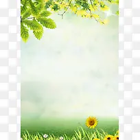 绿色枫叶大气背景素材