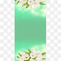 精美白色小花展架设计模板素材海报元素