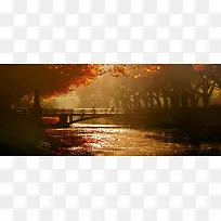 秋天落叶石桥背景