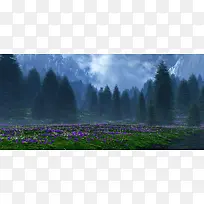 松树林紫色花朵背景