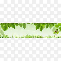 春草地蝴蝶叶子banner