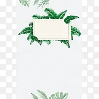 夏日清新热带花卉绿色简约海报背景