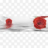 水中玫瑰背景图