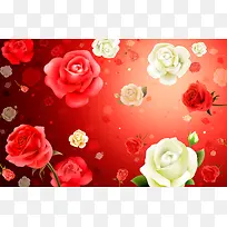 立体红白玫瑰 红色 花 婚礼