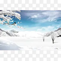 雪天
