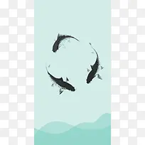 鲤鱼的水色背景图