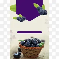 新鲜蓝莓采摘蓝莓节海报背景素材