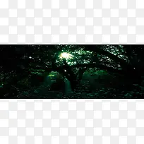 淘宝banner
