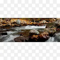 秋季落叶小溪石头背景