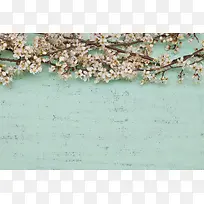 蓝色木板上的花背景
