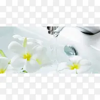 小清新浴室装饰花艺背景图