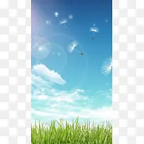飞翔的蒲公英H5素材背景