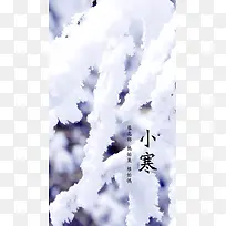 松树上的白雪H5素材背景