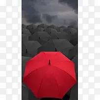 雨下的红色雨伞背景H5