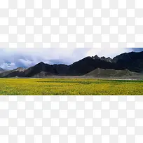 高山小黄花摄影素材背景