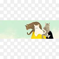 小猫背景