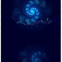 蓝色花卉海报背景